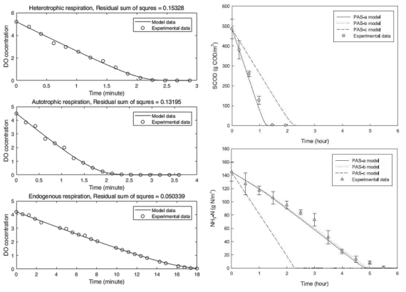 호기성 입상화 공정의 실험 데이터와 모델 데이터 비교를 통한 PAS 모델 검증 (좌: 미생물 호흡률 따른 DO 변화; 우: 유기물 및 암모늄 제거)