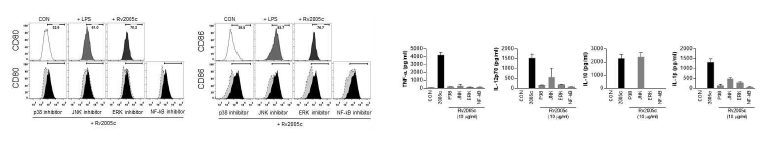 신호전달기작 inhibitor처리 후, 세포표면인자 및 사이토카인 분석