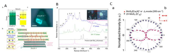 MoS2 phase transition from 2H to 1T′. (A) Charge injection from 2D-[Ca2N]+·e− to bulk MoS2 to induce phase transition. (a) Band alignment between [Ca2N]+·e− and MoS2 with work functions of 2.6 and 4.5 eV. (b) A schematic describing that electron injection from [Ca2N]+·e− induces a 2H to 1T′ phase change in bulk MoS2; MoS2 is heavily doped in the thicker sections. (c) Optical view of a typical heterostructure of MoS2 on 2D-[Ca2N]+·e−.The scale bar is 5 μm. (B) Raman spectra of two different MoS2/[Ca2N]+·e− heterostructures (spectra 1 and 2), pristine bulk MoS2 (black curve, spectrum 3), and [Ca2N]+·e− (spectrum 4). Optical views of MoS2/[Ca2N]+·e− heterostructures representing spectra 1 and 2 are shown in the inset (scale bar = 5 μm). (C) Polar plot showing the Raman intensity variation of pristine and doped MoS2