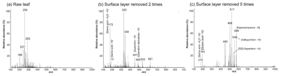 (a) 박피처리 전의 잎 표면과 (b,c)기계적 박피법을 통해 표면층이 제거된 잎 표면에서 획득한 nanoDESI 질량스펙트럼