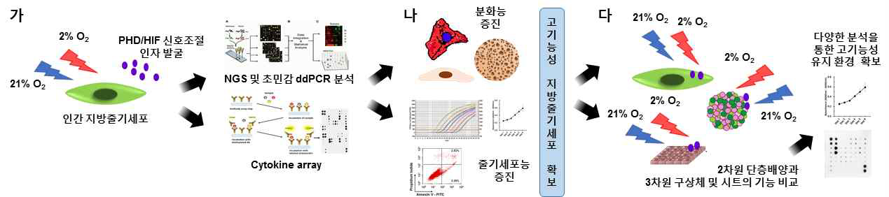 차년도의 목표 및 개괄적인 연구방법