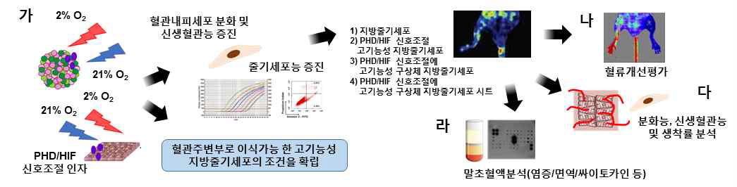 2차년도의 목표 및 개괄적인 연구방법