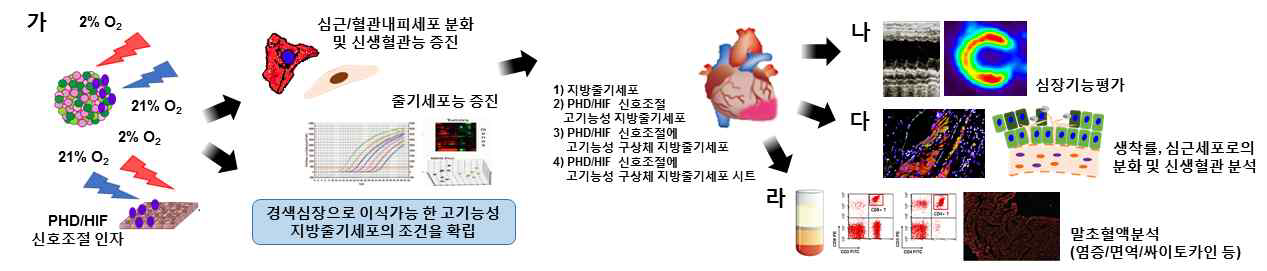 3차년도의 목표 및 개괄적인 연구방법