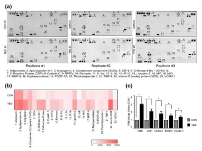 환자눈물에서 얻은 엑소좀을 Proteome Profiler Human XL Cytokine Array 단백질 확인