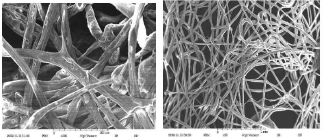 SEM Images of wet-blown web obtained by blowing air (left) and blowing water (right)