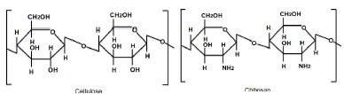 Chemical structures of Cellulose and Chitosan