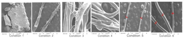 SEM scans of Chitosan fibers from the various spinning conditions