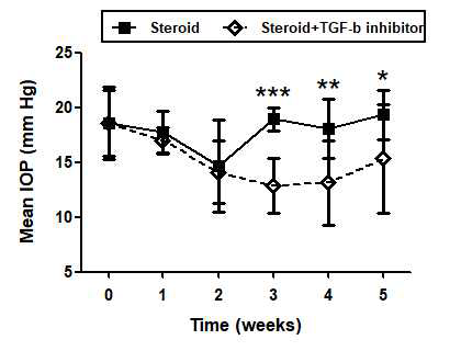 녹내장 rabbit in-vivo model에서 TGF-β inhibition group의 안압 하강 효과를 확인