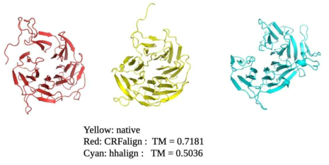 dlnr0a1 (C. elegans actin-interacting protein 1) 의 CRFalign과 HHalign 모델링 결과의 비교