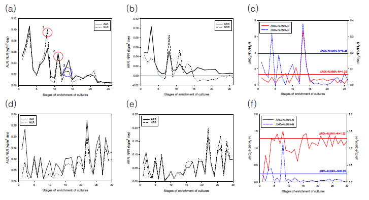 AnAOB 농화배양 결과. 2018.08.07. ~ 2018.10.16.기간 중 (a) ALR, NLR, (b) ARR, NRR, (c)△NO2-N/△NH3-N, △NO3-N/△NH3-N, 2018.11.22. ~ 현재 (d) ALR, NLR, (e) ARR, NRR, (f)△NO2-N/△NH3-N, △NO3-N/△NH3-N