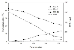 The concentration of nitrogen and COD in continuous aeration control at DO of 2±0.2 mg O2/L, pH 8.0±0.1, 25oC