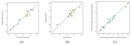 Plots of model-predicted values versus measured values. (A) COD removal, (B) NAR, and (C) NO3 —-N concentration