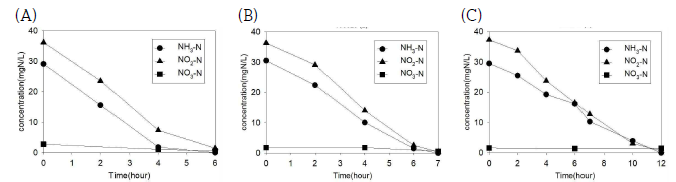 Variations of ammonia, nitrite, nitrate concentrations in real domestic wastewater amended with sodium nitrite. (A) MLSS 2773.3 mg/L, (B) MLSS 1853.3 mg/L, (C) MLSS 640.0 mg/L