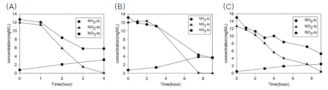 Variations of ammonia, nitrite, nitrate concentrations in partially nitritated real domestic wastewater. (A) MLSS 3050.0 mg/L, (B) MLSS 1633.3 mg/L, (C) MLSS 583.4 mg/L