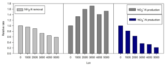 빛의 세기에 따른 암모니아, 아질산염, 질산염의 상대적 제거 및 생산 속도