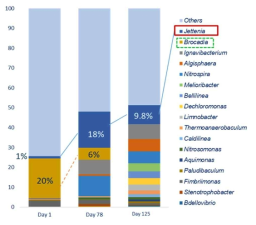 섬유 담체 내에 형성된 Anammox biofilm의 미생물군락 속명