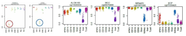 Infinium Human Mehtlyation 850K BeadChip을 사용하여 발굴한 helper T-세포, cytotoxic T-세포, 간 (liver) 및 신장 (kidney) 특이적 CpG (일부 예시)