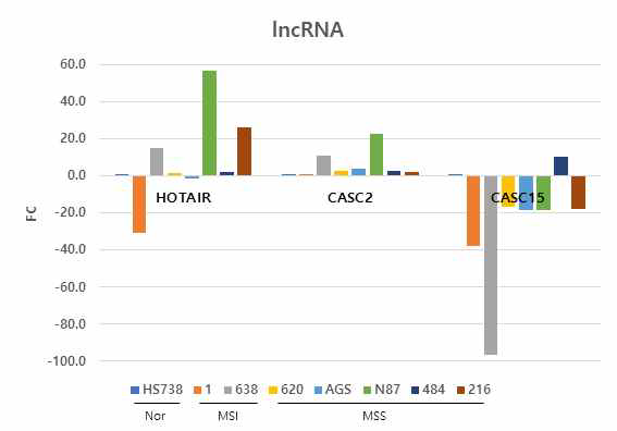 여러 위암세포주들에서 lncRNAs 발현검증