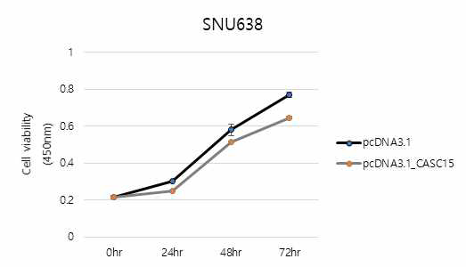 CASC15의 과발현시 SNU638 위암세포의 생존도 분석