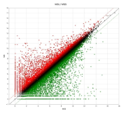 Scatter plot 분석결과