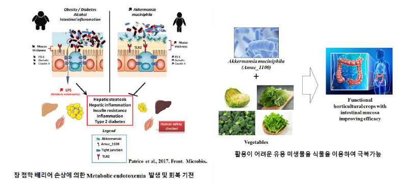 연구배경 및 연구결과의 지향점