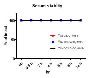 Cu-64 표지 미네랄 나노입자 혈청내 안정성 확인