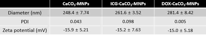 DOX/ICG 담지 탄산칼슘 나노입자의 특성분석