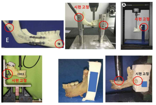 기존 연구의 하악골 실험 방법