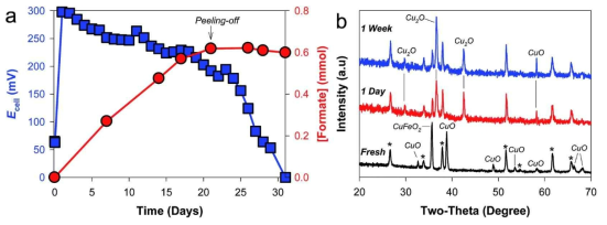 CuO/CuFeO2 의 CO2 전환 중장기 성능평가 (a) 31일 동안 포름산 생성량, (b) CO2 전환 전과 후(1일, 7일) XRD 비교