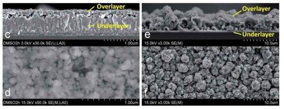 (c, d) DMSO(Dimethyl Sulfoxide)와 (e, f) Water Base의 종류에 따른 광소재 전기증착 표면분석 비교