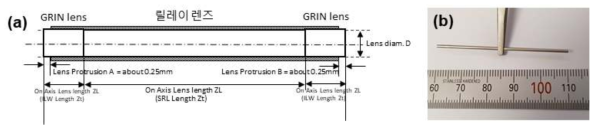 (a) 경성형 미세 내시경의 physical dimension 및 (b) 본 과제 라만 응용에 적합한 사양으로 제작된 미세 내시경
