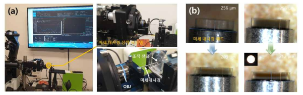 랫트 방광 조직 샘플을 이용한 미세내시경 프로브 성능 검증을 위한 (a) 현미경 장착형 미세내시경 시스템 환경 및 장착 이미지. (b) 미세 내시경 광 특성 성능 향상을 위한 내시경 헤드의 렌즈 정밀 가공