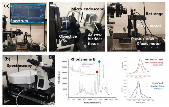 (a) 미세내시경 기반 라만 시스템의 사용자 편의를 위한 모터제어 스테이지 제작 및 (b) 라만 신호 최적화를 위한 테스트 타겟의 정량 비교