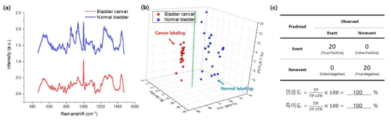 (a) 방광암 조직의 라만 스펙트럼 (St. Dev.는 shading 처리됨) 및 (b) PCA 통계 분석을 통한 진단 근거 확보. (c) 방광암 조직의 라만 민감도 및 특이도 산출결과