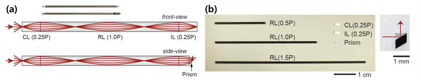 GRIN 미세 내시경 개요도. (a) Front- 및 Side-view 프루브 제작 이미지 및 광경로, (b) Pitch별프루브 및 GRIN 렌즈·프리즘 사진