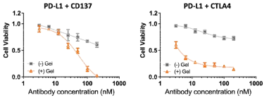 PD-L1:CD137 또는 PD-L1:CTLA4 이중항체형 인공세포를 처리한 후 암세포 생존률. 이중항체형 인공세포를 처리하였을 때 세포 사멸율이 6배 높아짐(50nM). 개발된 마이크로젤에 각각 면역항암제 PD-L1 항체 및 T세포 활성물질 CD137항체를 함께 결합하면 효과적으로 MCF-7 암세포의 면역관문억제능을 저해하고 PBMC에 존재하는 면역세포의 활성을 유도했다고 평가할 수 있음. 특히 PD-L1과 CTLA4의 조합은 최저농도에서도 50%이상의 세포 사멸율을 보임