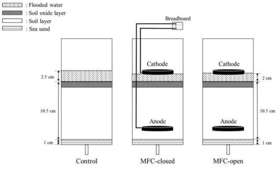 미생물연료전지를 설치한 칼럼 실험 모식도