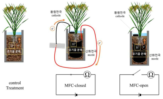 벼재배 포트실험의 처리구 모식도