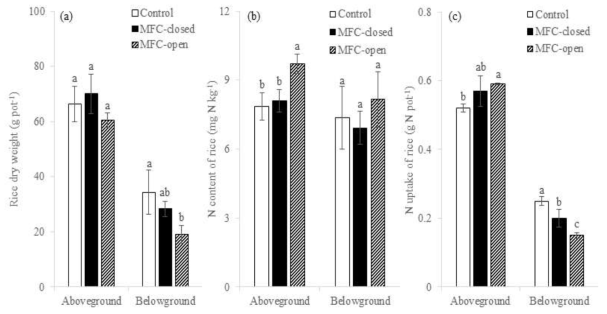 MFC 설치에 따른 벼의 건중량, 질소함량, 질소흡수량 변화