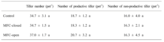 MFC 설치에 따른 벼의 분얼수 변화