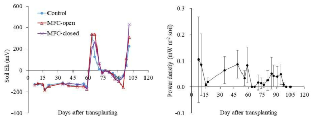 MFC 설치 논토양의 산화환원전위 및 전력생산