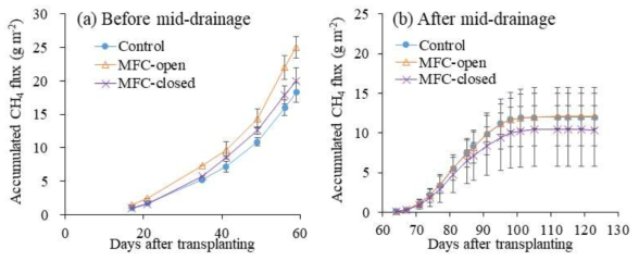 MFC 설치 논에서 메탄의 누적 방출량-중간낙수 전후 비교