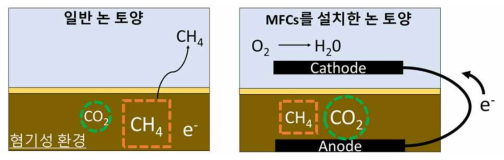 습지 논에서 메탄 생성 및 MFCs 설치에 따른 메탄 생성 저감 모식도