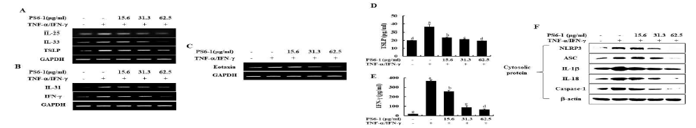 HaCaT 세포에서 TNF-α/IFN-γ 자극에 의해 증가된 염증 관련 사이토카인 및 케모카인의 mRNA 발현량 및 생성량과 inflammasome 신호전달 경로에 대한 PS6-1의 영향 평가