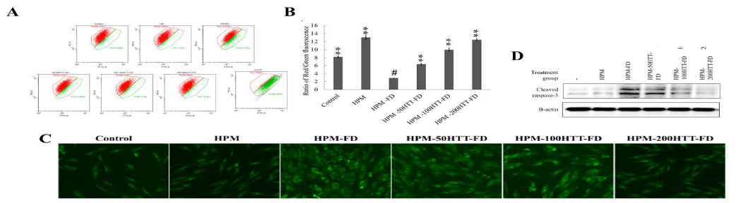 HDF 세포에서 미세먼지 처리가 야기하는 apoptosis에 대한 HTT의 영향 평가