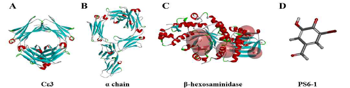 IgE(A), FcεR1(B), β-hexosaminidase(C)와 PS6-1(D)의 삼차원 구조