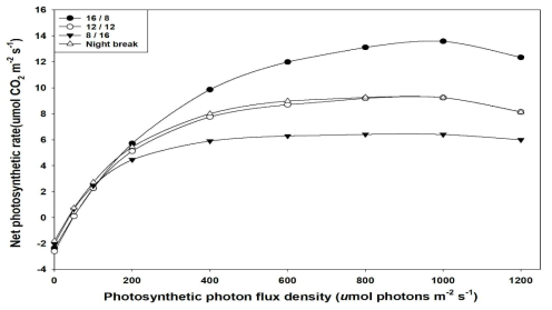 Photosynthetic light-response curves obtained from leaves of Tulip ‘Strong Love’grown under different day/night photoperiod regimes. The curves were fitted with the non-rectangular hyperbola