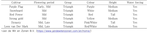 The information of cultivar tulip bulbs used in this experiment by the season of first half (winter – summer)