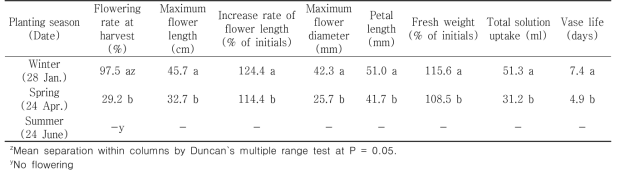 Quality of cut flowers in holding solution after harvest according to planting season in first experiment of tulip ‘Purple Flag’ under green LED light in the facility