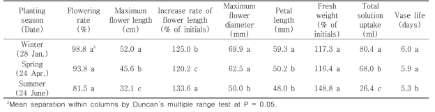 Quality of cut flowers in holding solution after harvest according to planting season in first experiment of tulip ‘Snowboard’ under green LED light in the facility